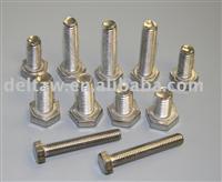 Stainless hex cap screw and bolt