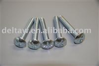 Stainless BS ROOFING BOLT