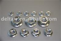 Steel Hex Flange Nut DIN6923