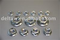 Steel Hex Flange Nut