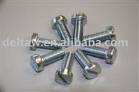 Stainless Slotted Recessed Machine Screw