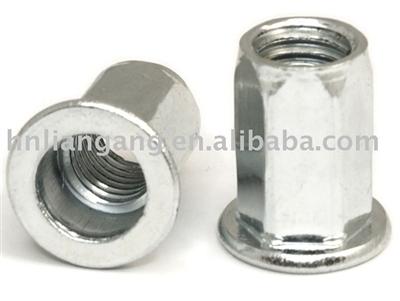 Hexagon rivet nut