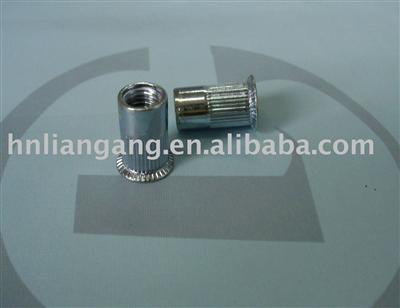 Countersunk head rivet nut