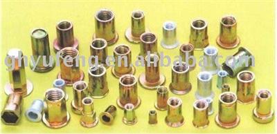 flat head round/knurled bddy rivet nut