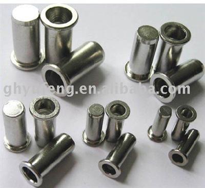 carbon steel, stainless steel blind end rivet Nuts