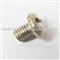 Machine Screw Nut