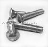 Stainless Steel Carriage Bolt