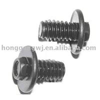 Hex Self-Locking Screw