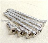 Stainless Steel Tapping Screws