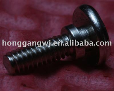 Screw Of Stainless Steel,Rround Cap With Philip