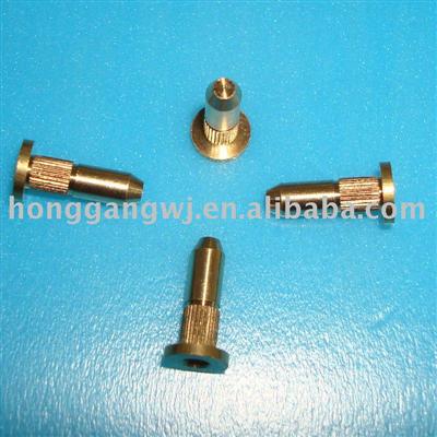 Special Brass Rivet