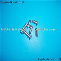 Stainless Steel Rivets