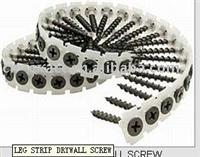 LEG STRIP DRYWALL SCREW