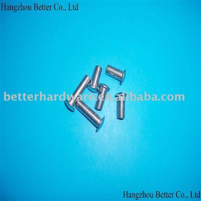 Stainless Steel Rivets