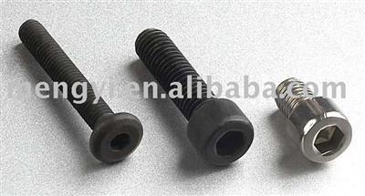 Stainless Steel Hex Socket Cap Screw