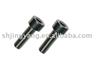 Hexagon socket head cap screw