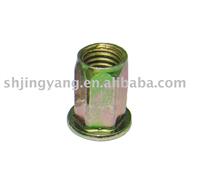 Hex Head Rivet Nut