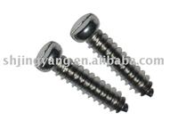 Slotted pan head tapping screw