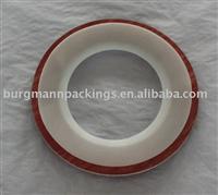 PTFE Envelop Gasket