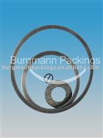 Graphite Reinforced Composite Gasket