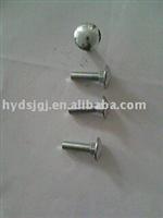 (grade--4.8)  Carriage bolts