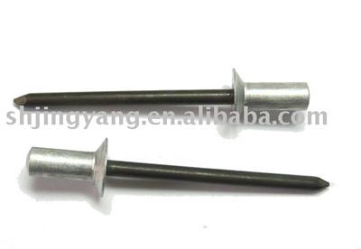 Blind  rivet