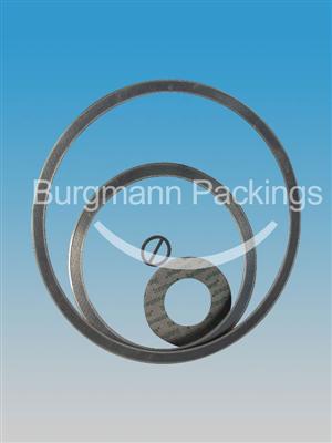 Flexible Graphite Reinforced Composite Gasket