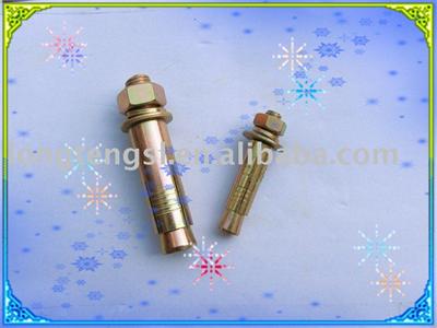 stainless steel Bolt Anchor