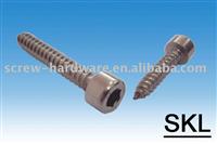 Hex Socket Head Cap Self Tapping Screw