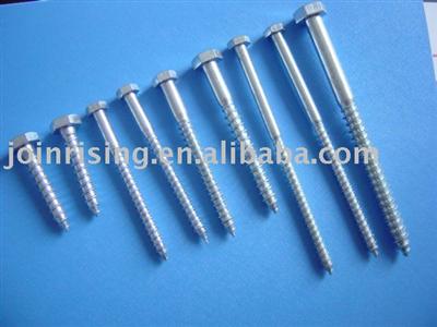 DIN 571 Wood screws