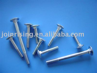 DIN603 Carriage bolts fasteners