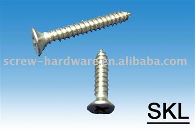 Fastener-Tapping Screw