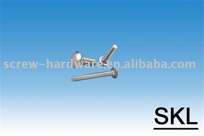 Stainless Steel Carriage Bolts