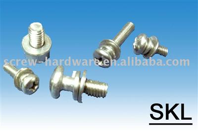 Combined screw