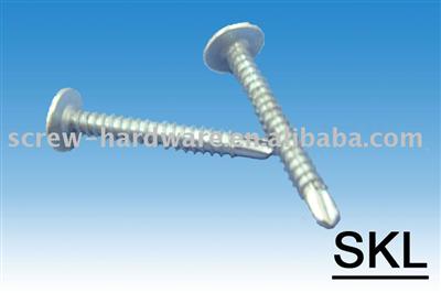 Truss Head Screws