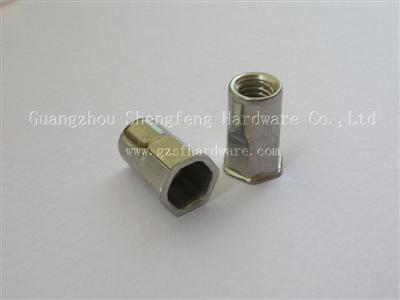 Flat Head Hex Rivet Nuts