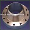 stainless steel flanges