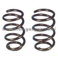 Compression Spring 48231-30560 China Spring