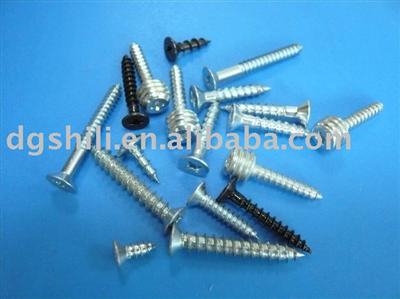 Self-tapping Screw