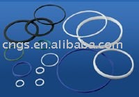 PTFE Sealing Ring