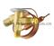 Expansion Valve