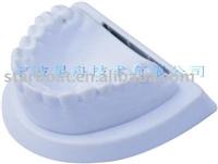 medical equipment plastic tooth