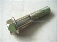 Hexagon Head Bolt for Byd