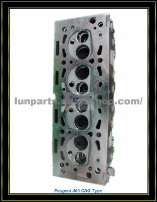 Peuegot 405 Cng Cylinder Head