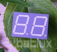 0.80 inch double seven segment led display