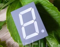 1.00 inch single seven segment led display