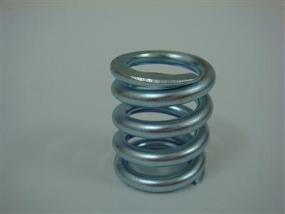 compression springs (TS16949 ISO14001)