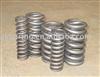compression spring(TS16949 ISO14001)