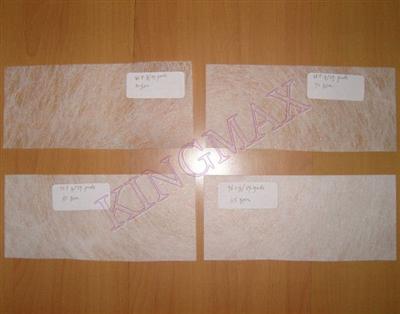 PET Spunbond Nonwoven