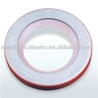 Automobile Seals TSPC